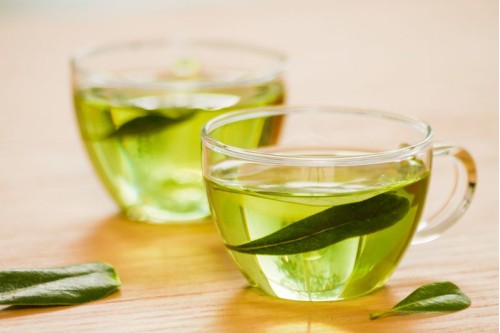 Yeşil Çayın Faydaları Nelerdir? Yeşil Çay Hakkında Bilinmesi Gerekenler