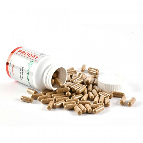 PRODAY Propolis, Zencefil ve C Vitamini İçeren Takviye Edici Gıda 120 Kapsül  PRODAY Propolis, Zencefil ve C Vitamini İçeren Takviye Edici Gıda 120 Kapsül