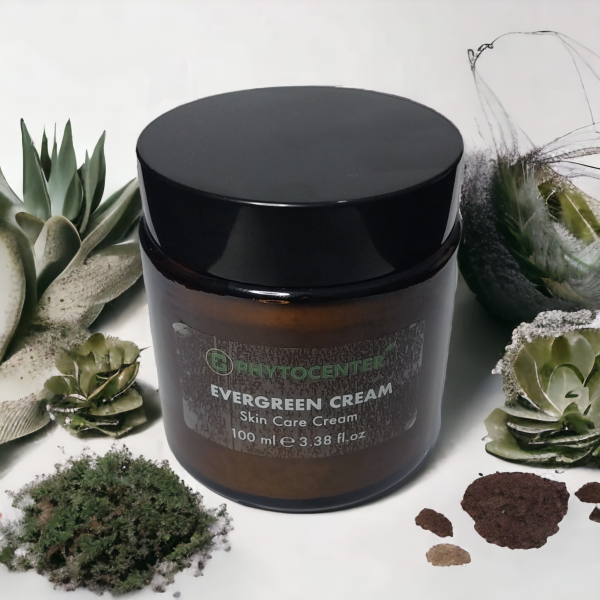 Evergreen Cream Cilt Yenileyici Bakım Kremi 100ml