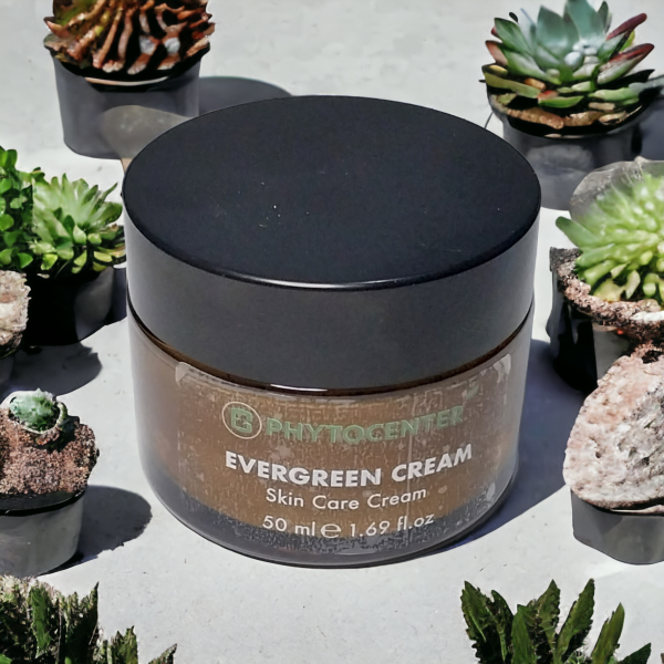 PHYTOCENTER EVERGREEN CREAM Cilt Yenileyici Bakım Kremi 50 ml